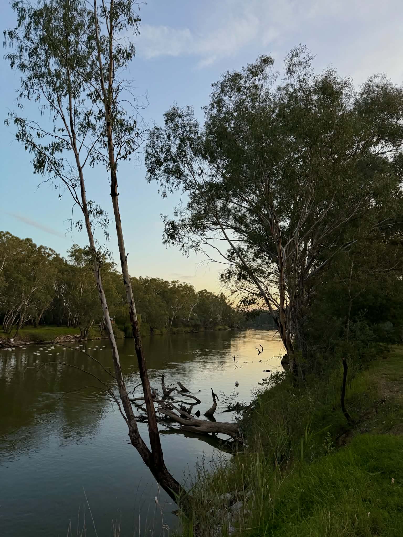 Corowa Caravan Park — photo 6
