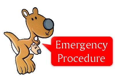 map3pageemergencypro1.jpg - large